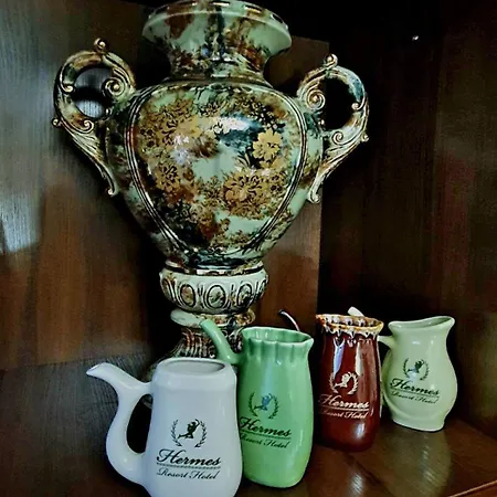 Hermes Rest&treatment 3*