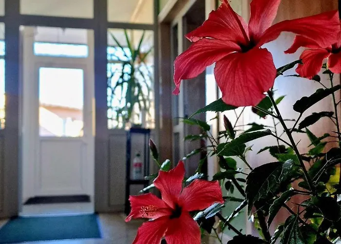 Hermes 3* 特鲁斯卡韦茨