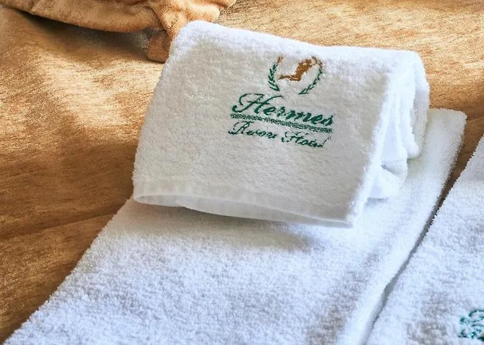 Hermes 特鲁斯卡韦茨