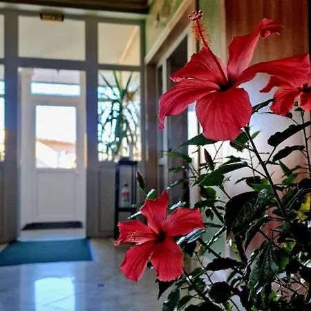 Hermes Resort Hotel With Medical Treatment 3* Truskavets