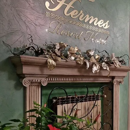 Hotel Hermes Resort Hotel With Medical Treatment 3*